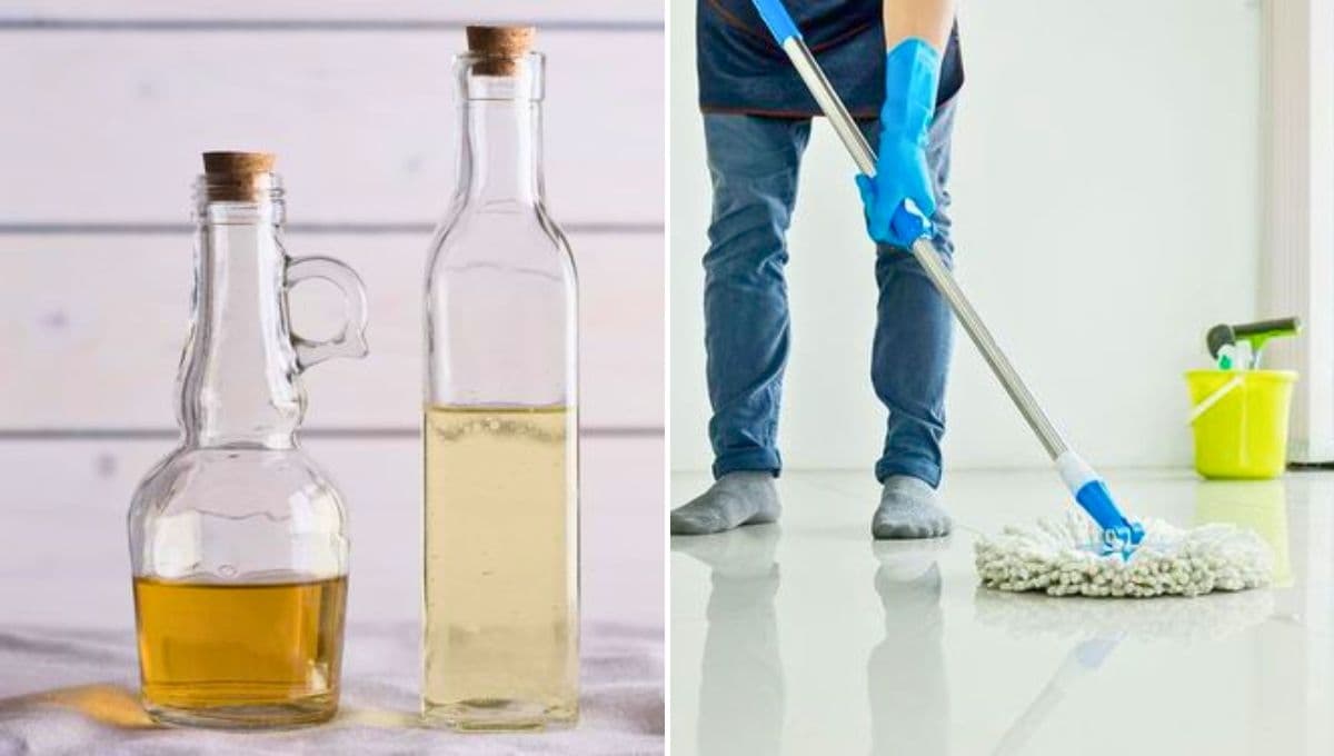 Vinagre blanco vs vinagre de manzana: ¿cuál es mejor para trapear?