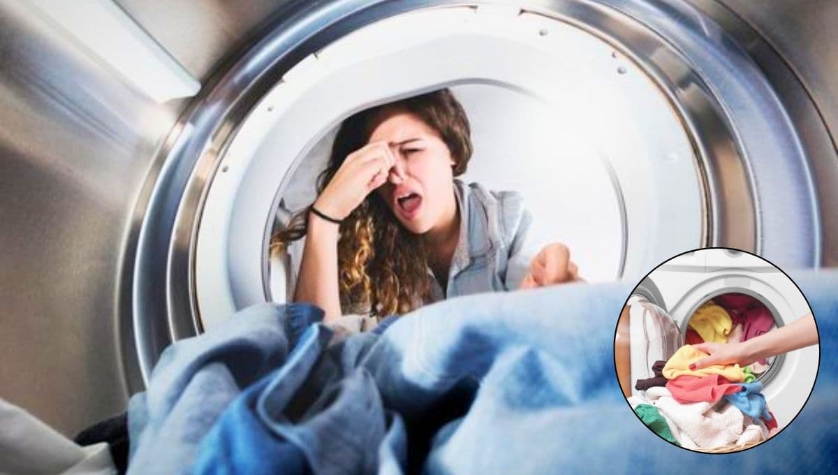 ¿Qué detergente quita el olor a humedad?
