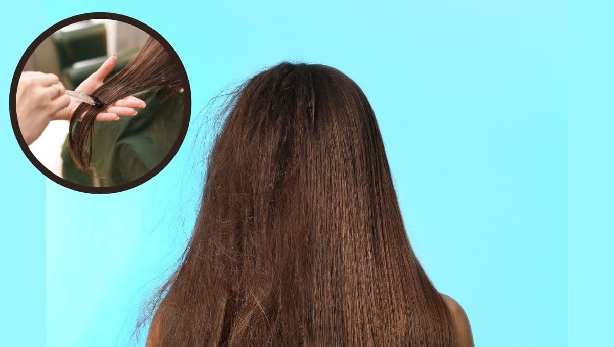 ¿Qué mascarilla es buena para el cabello decolorado y seco?