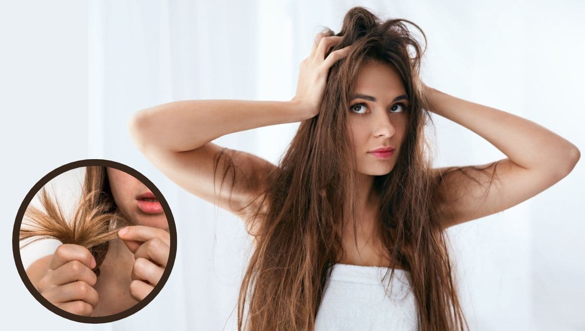 La mejor forma de hidratar el cabello maltratado y seco con remedios caseros