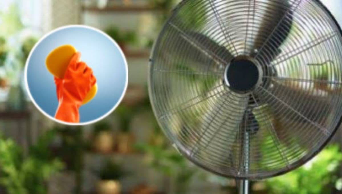 ¿Cómo limpiar un ventilador por dentro sin desarmarlo?