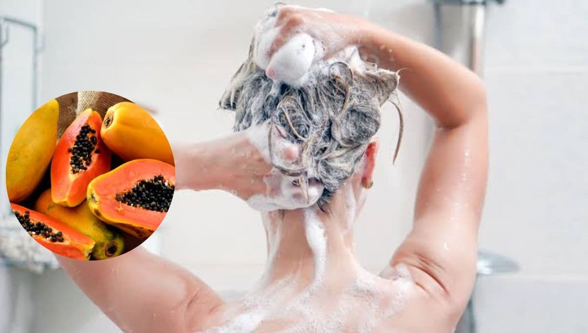 ¿Cómo hacer shampoo de aloe vera y papaya para cabello seco?