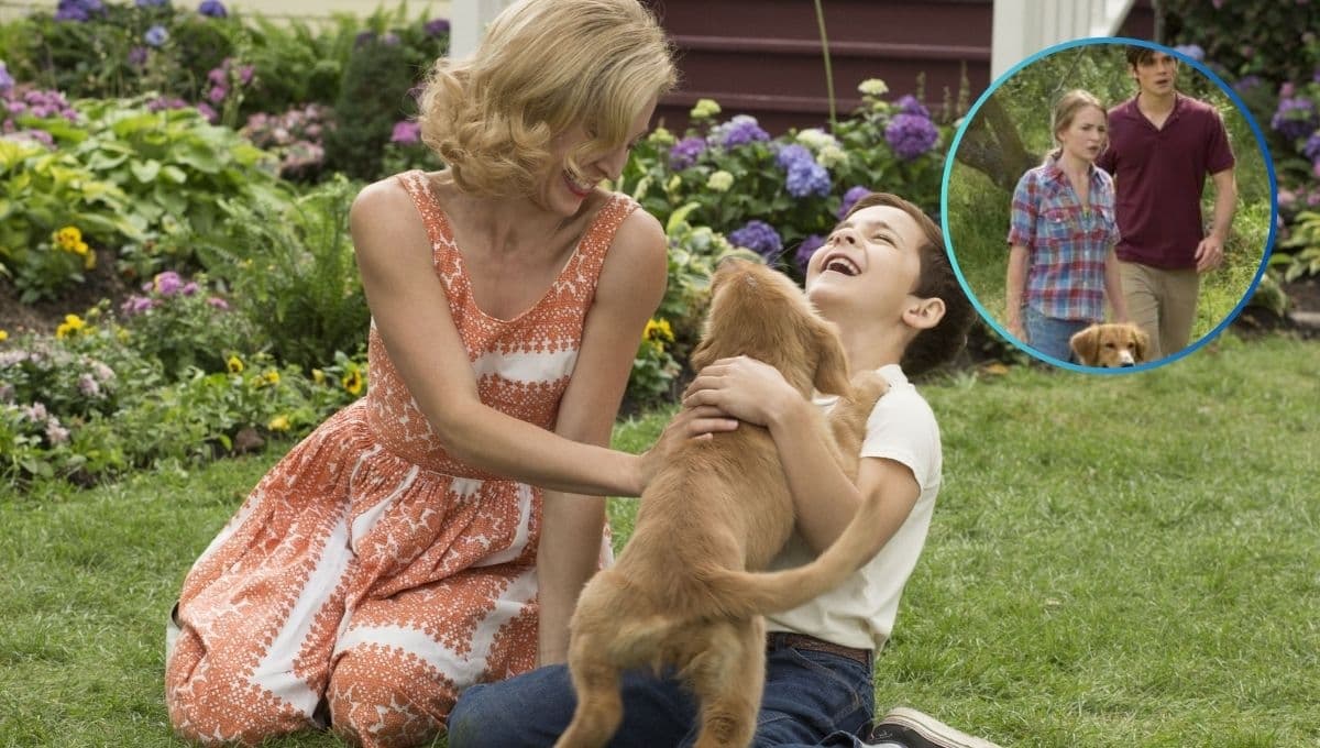 La película de Netflix que es una joya y enseña cómo solo el amor noble te hace mejorar como persona