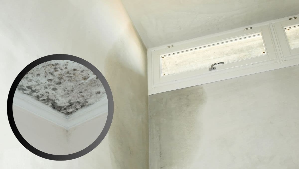 ¿Cómo sacar la humedad de la casa cuando llueve?