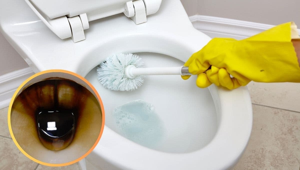 El truco infalible para quitar el sarro negro de la taza del baño