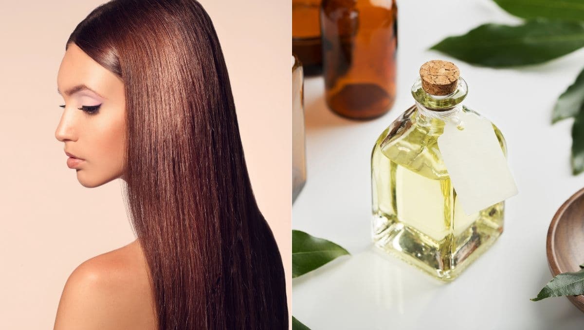 ¿Cómo hacer tónico de laurel para el cabello?