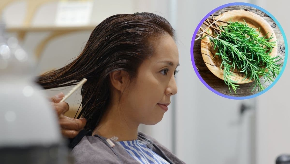 ¿Cómo oscurecer el cabello naturalmente con romero?