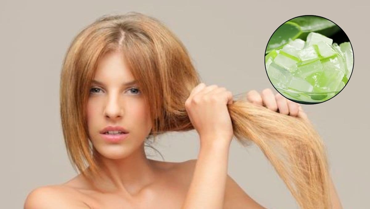 ¿Cómo usar la sábila para el cabello maltratado?