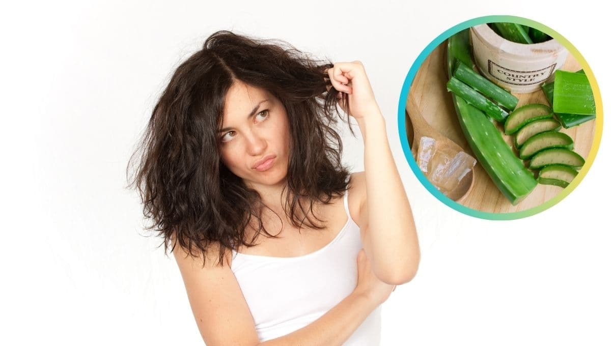 El mejor tónico de sábila para el cabello seco