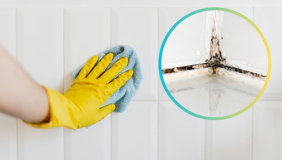 ¿Cómo quitar las manchas negras de las juntas de los azulejos?