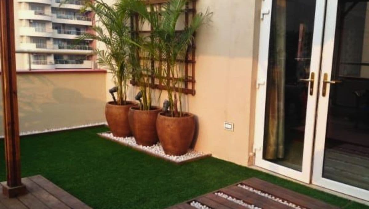 ¿Cómo hacer un jardín sobre piso de cemento?