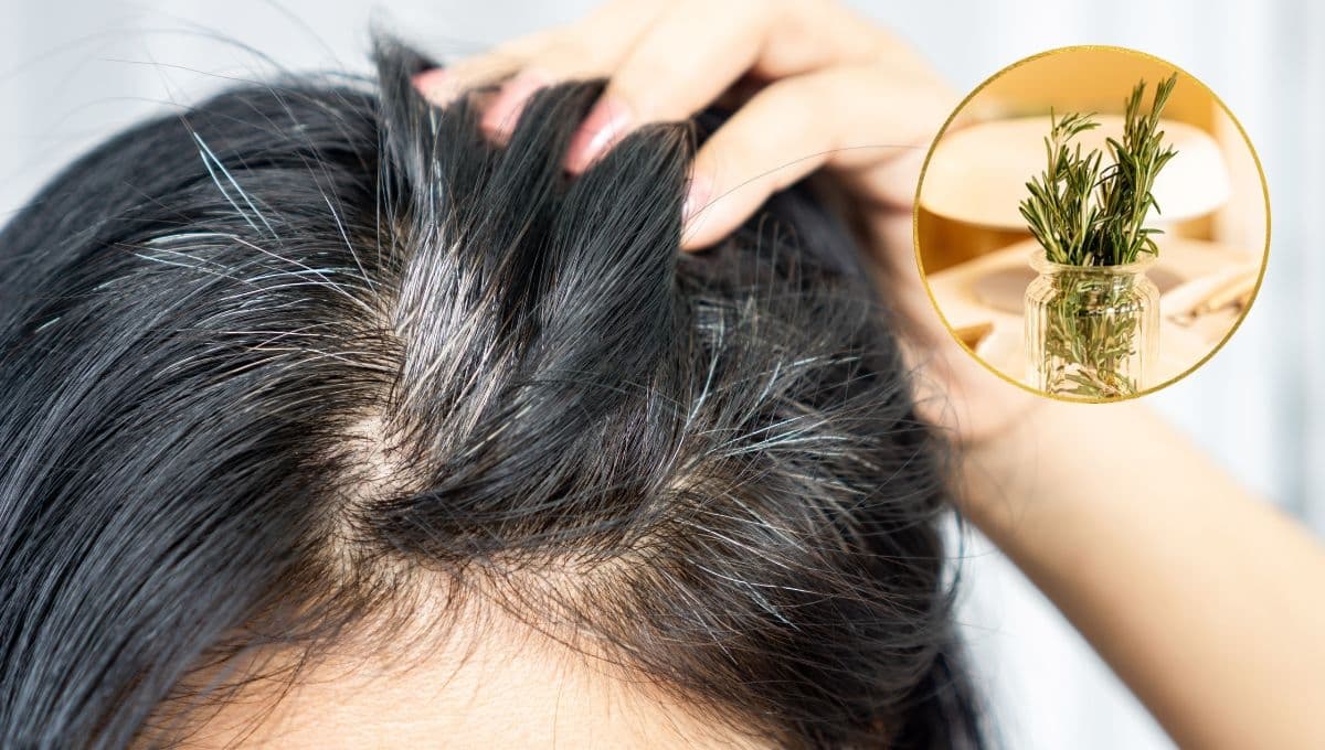 La mezcla de romero y salvia para oscurecer las canas naturalmente