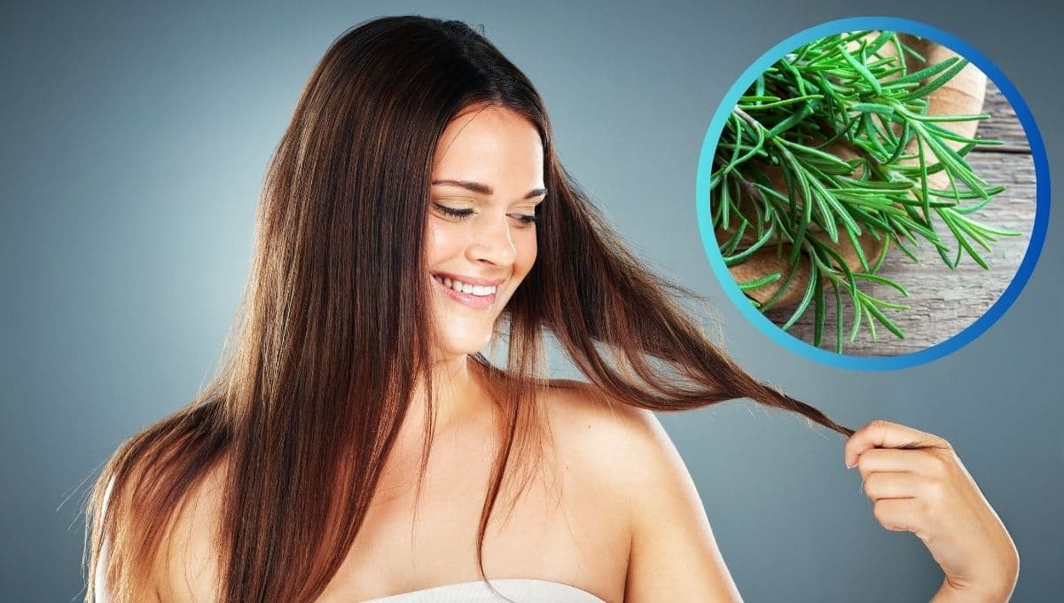 ¿Cómo hacer shampoo de romero para crecer el cabello?