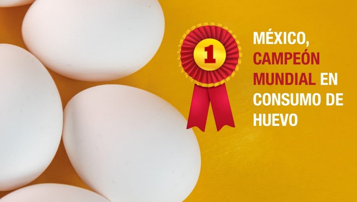 México, campeón mundial  en consumo de huevo