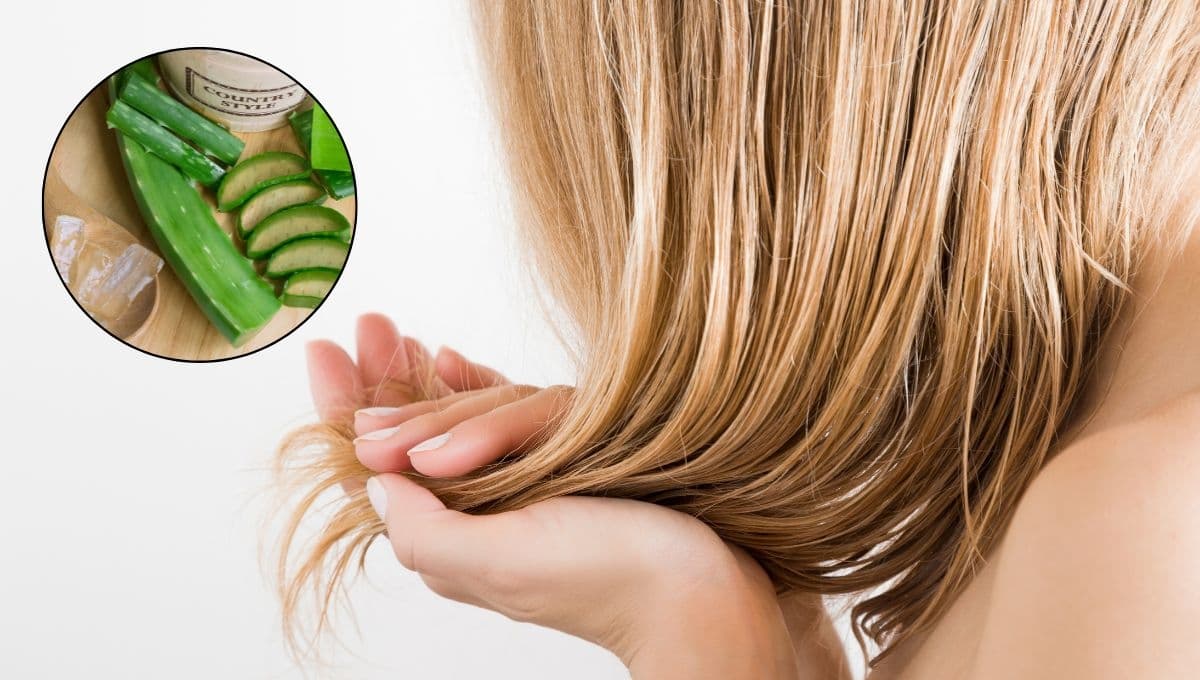 La mejor mascarilla natural de jojoba y aloe vera para el cabello seco