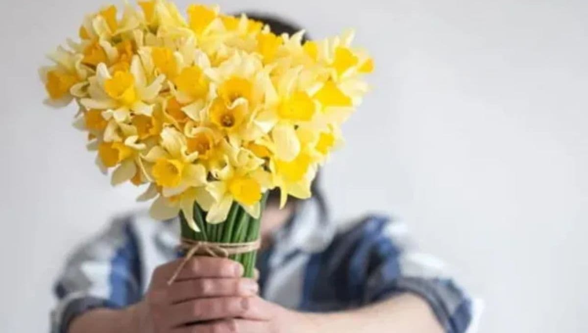 11 frases para regalar flores amarillas el 21 de septiembre