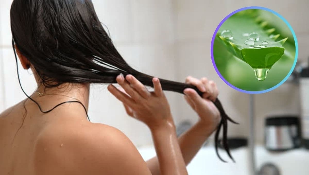 ¿Cómo aplicar sábila en el cabello para que crezca?