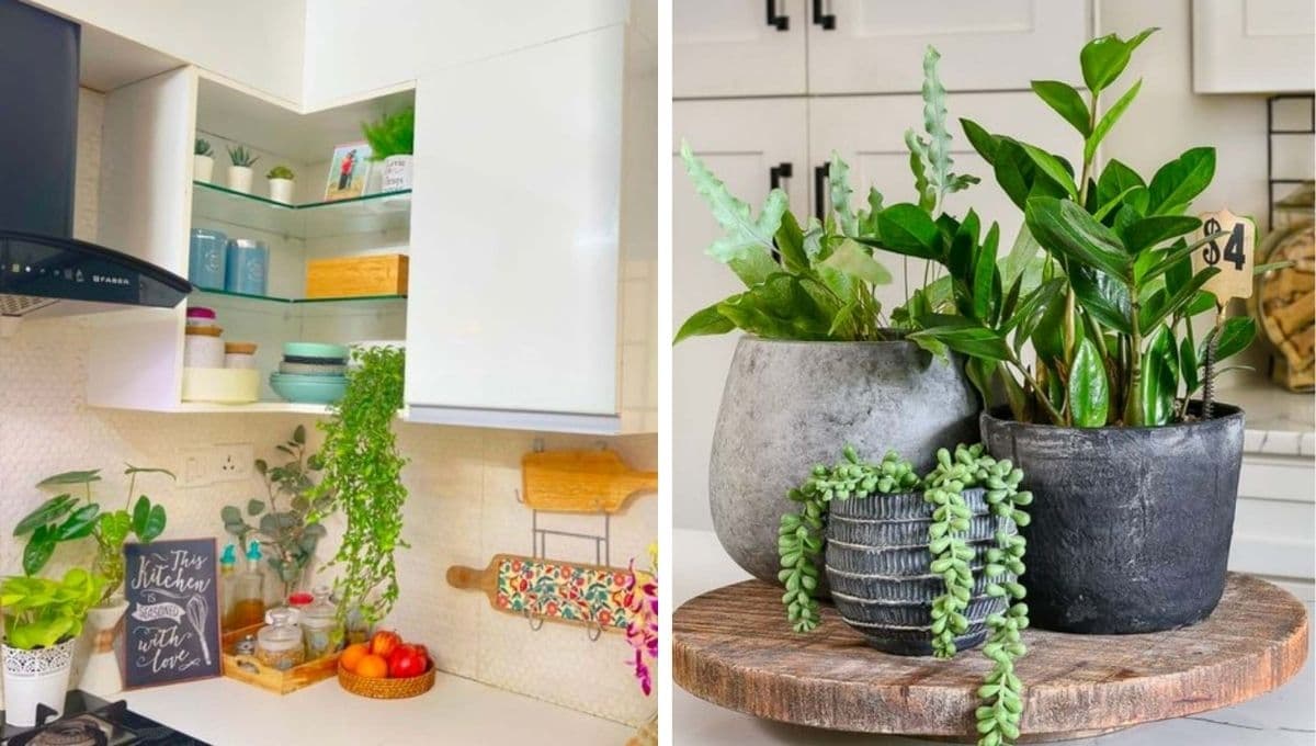 Ideas para decorar con plantas los rincones de una cocina pequeña
