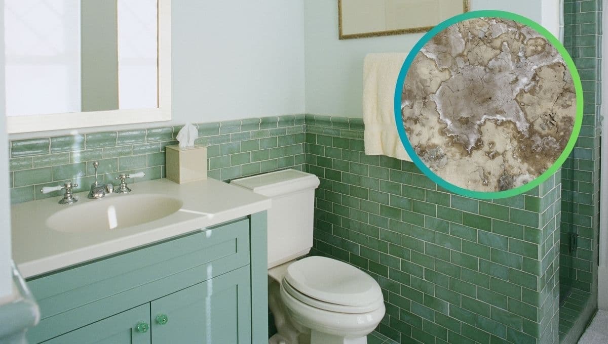 ¿Cómo hacer que el baño no huela a humedad?