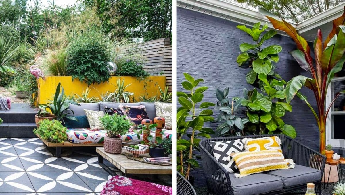 5 maneras de acomodar plantas grandes en un patio pequeño