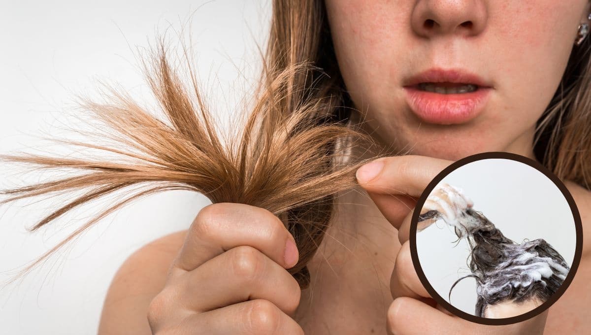 El ingrediente a poner en tu shampoo si tienes el cabello muy reseco y quebradizo