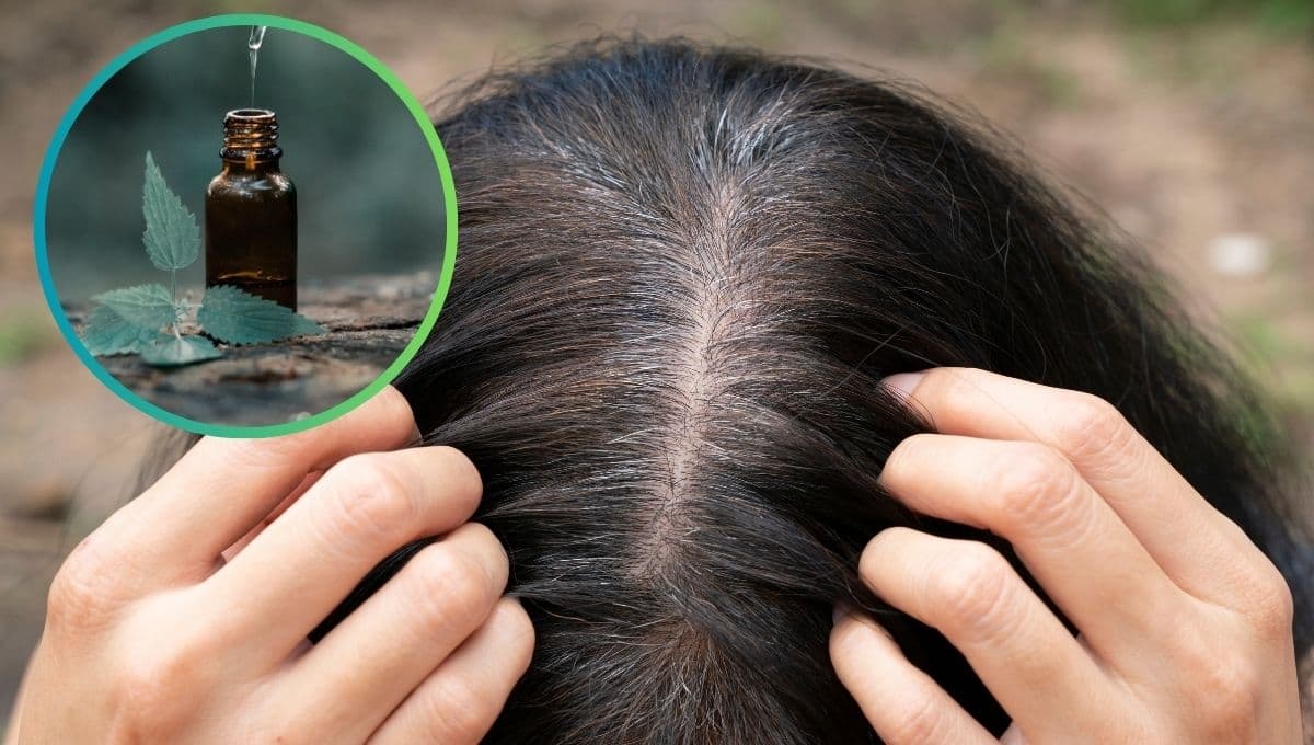 ¿Qué aceite oscurece el pelo con canas?