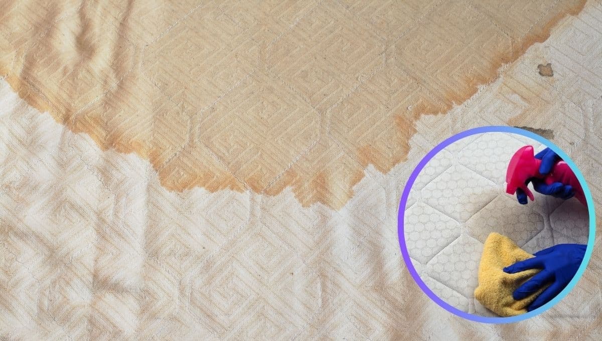 Limpieza: elimina las manchas del colchón y malos olores con este ingrediente casero