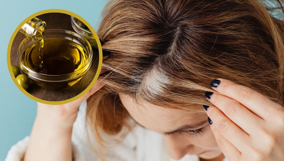 ¿Cómo usar el aceite de oliva para cubrir las canas?