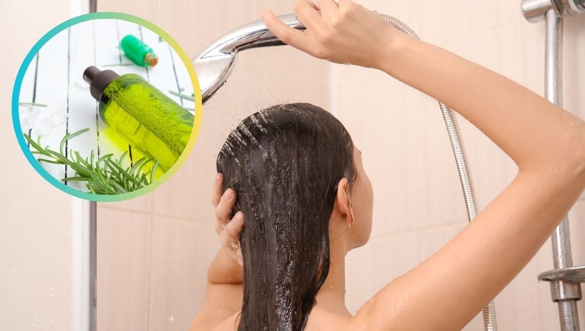 ¿Para qué sirve el shampoo de romero y qué pasa si lo uso diario?
