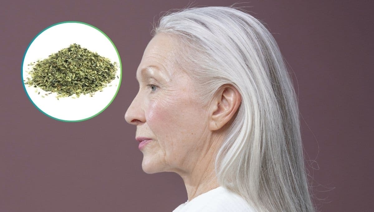 ¿Cómo usar aceite de orégano para cubrir canas y que crezca el cabello?