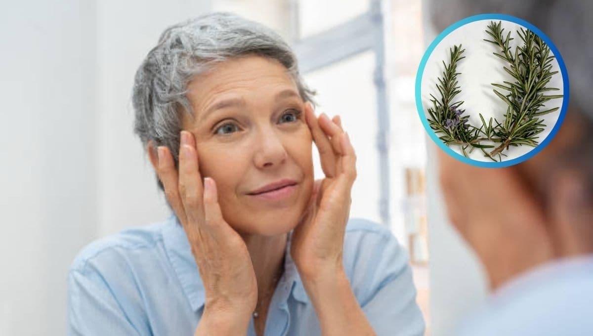 ¿Cómo se prepara el romero para cubrir las canas?