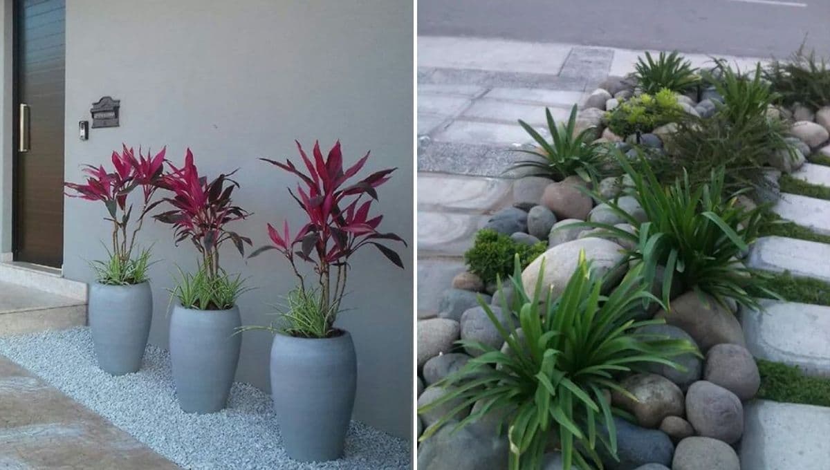 5 ideas de decoración para jardines pequeños con piedras y plantas
