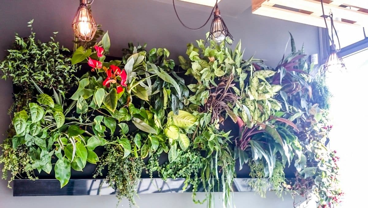 ¿Cómo hacer un jardín vertical paso a paso?