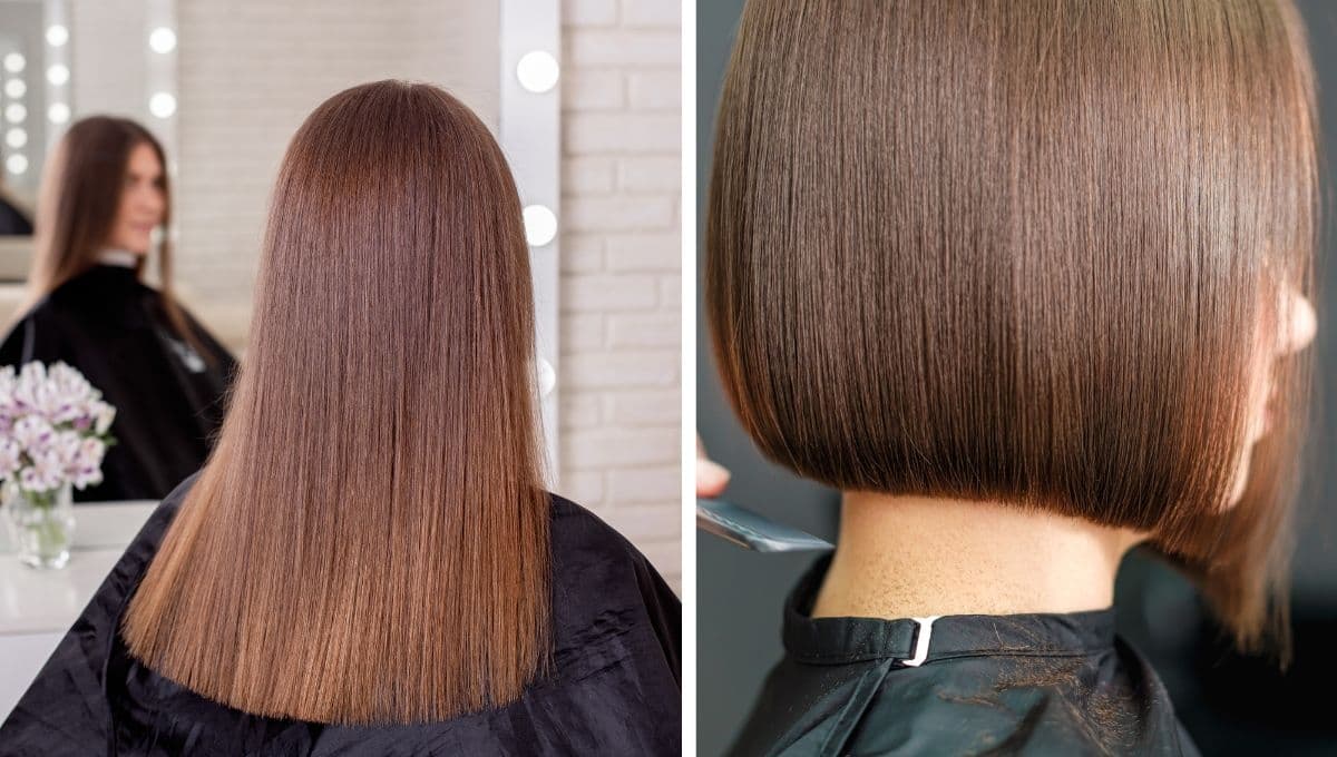 ¿Cómo saber si te queda mejor el pelo largo o corto?