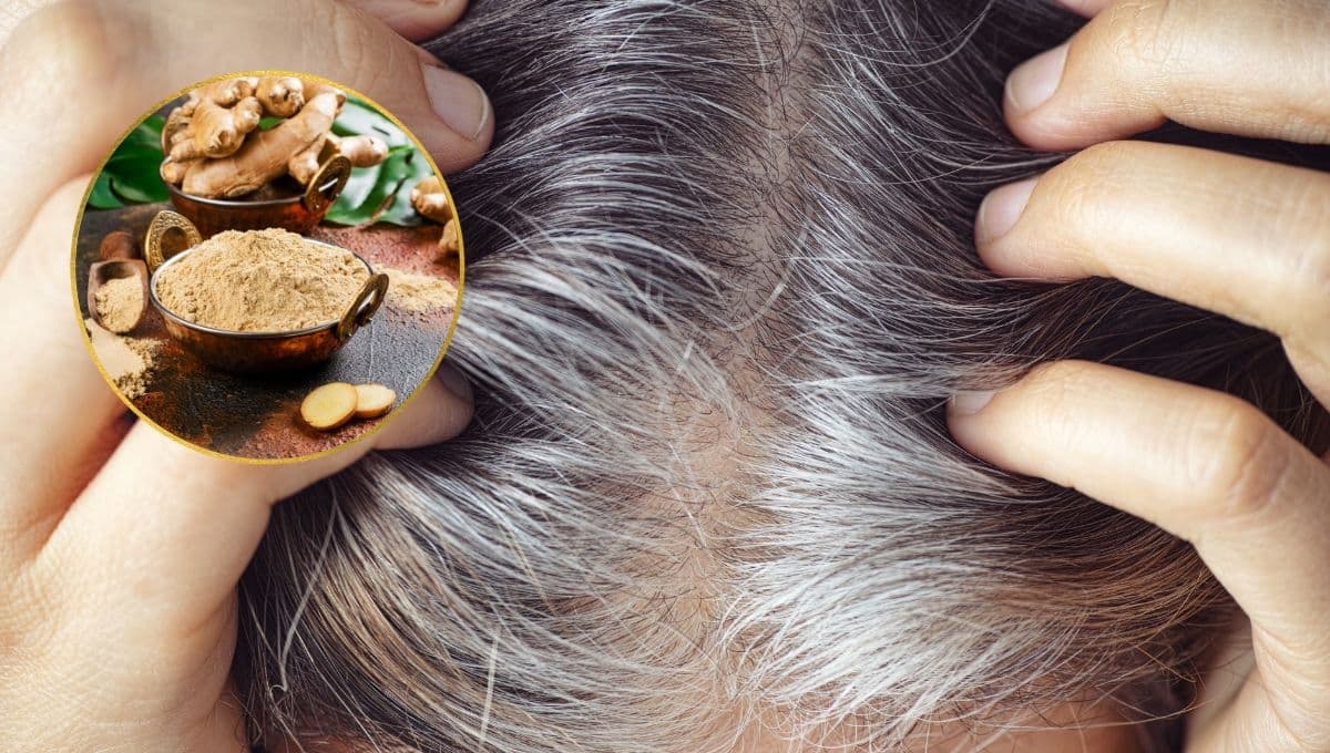 ¿Cómo usar jengibre en el shampoo? Hace crecer el cabello y oscurece canas