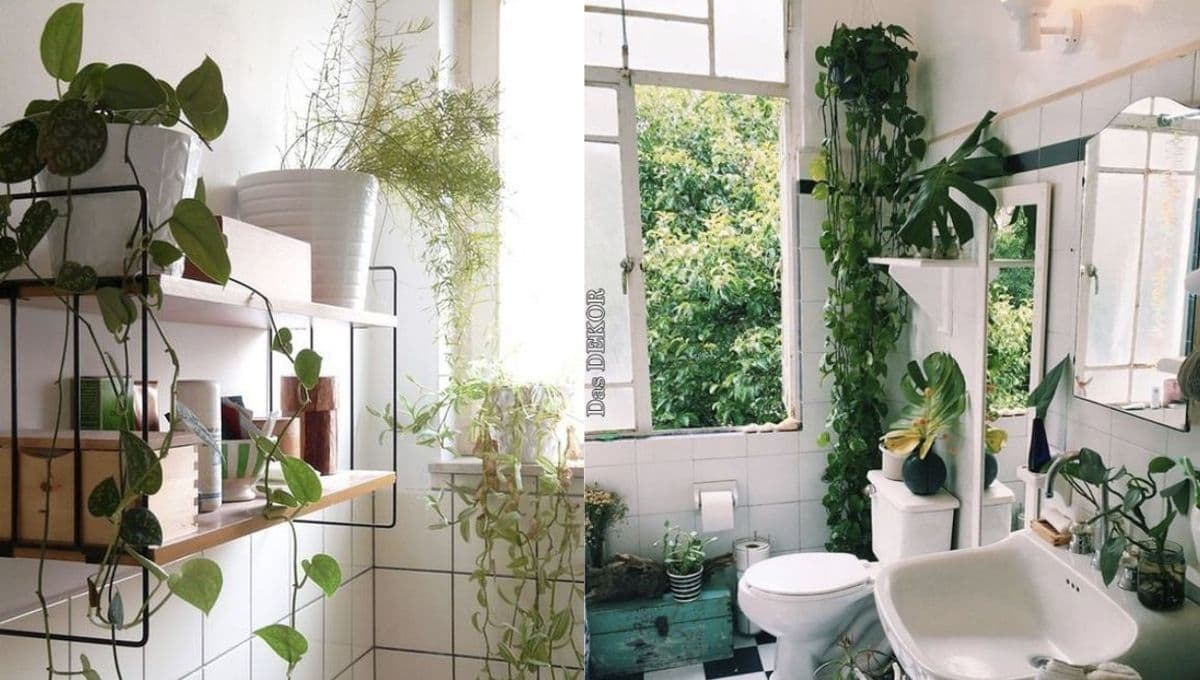 Las mejores ideas para refrescar un baño pequeño con plantas