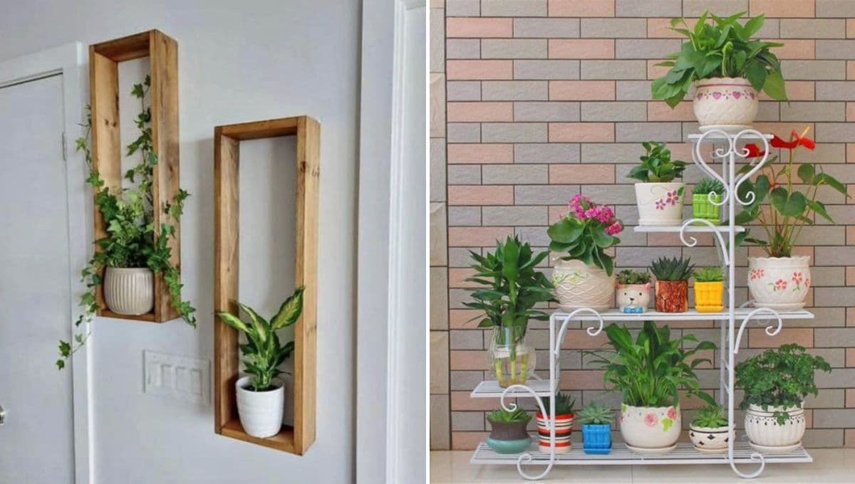 ¿Cómo ordenar plantas de interior y exterior en casa?