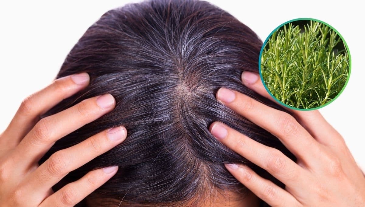 El truco con aceite de romero para oscurecer las canas y crecer el cabello rápido