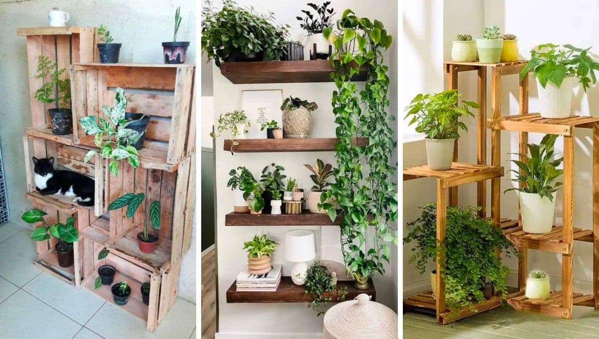 Las ideas más originales de muebles para plantas de interior