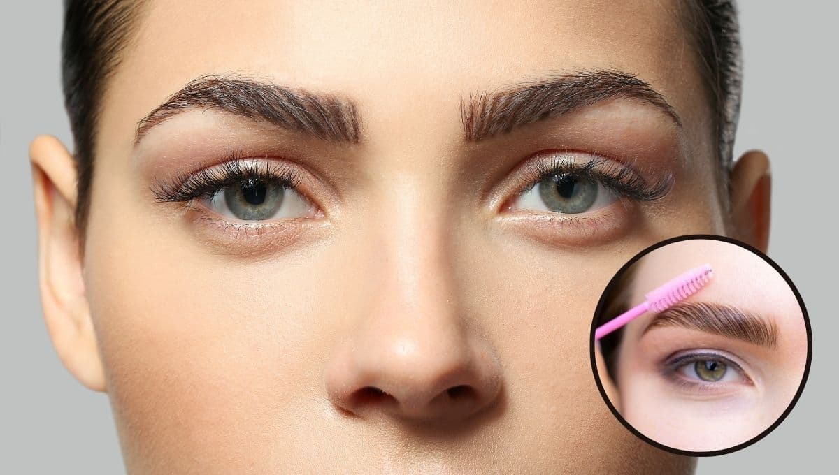¿Cómo hacer crecer las cejas si me las rasuré?