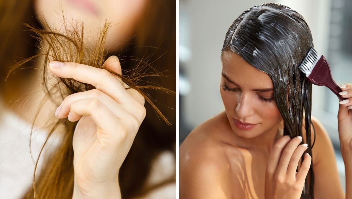 ¿Cómo hidratar el cabello? 3 mascarillas para pelo seco que le darán fuerza y brillo