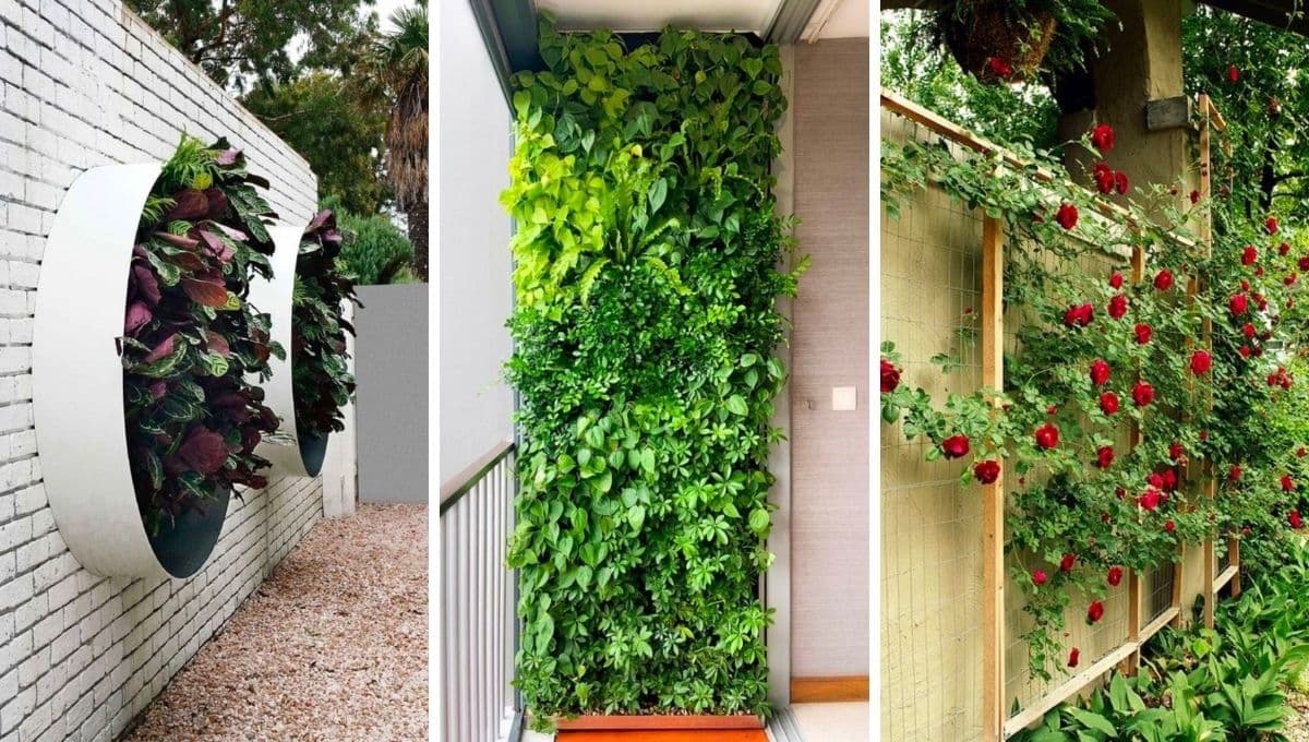 Remodela tu jardín con estas 4 ideas para crear un muro verde en la pared