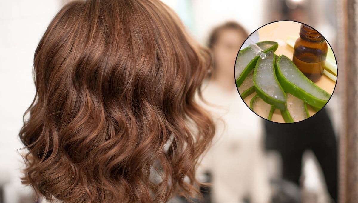 3 formas de usar sábila en el cabello: hidrata, suaviza y funciona como keratina