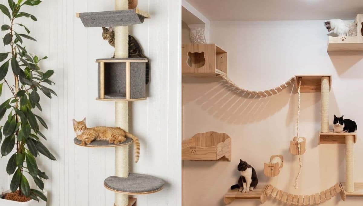 Ideas para decorar la pared con muebles para gato