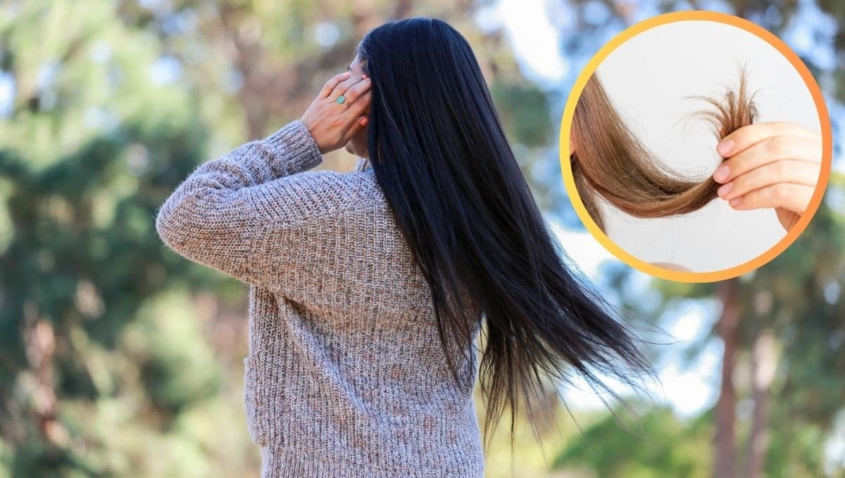 Pelo en pausa: 3 consejos para que te vuelva a crecer el cabello