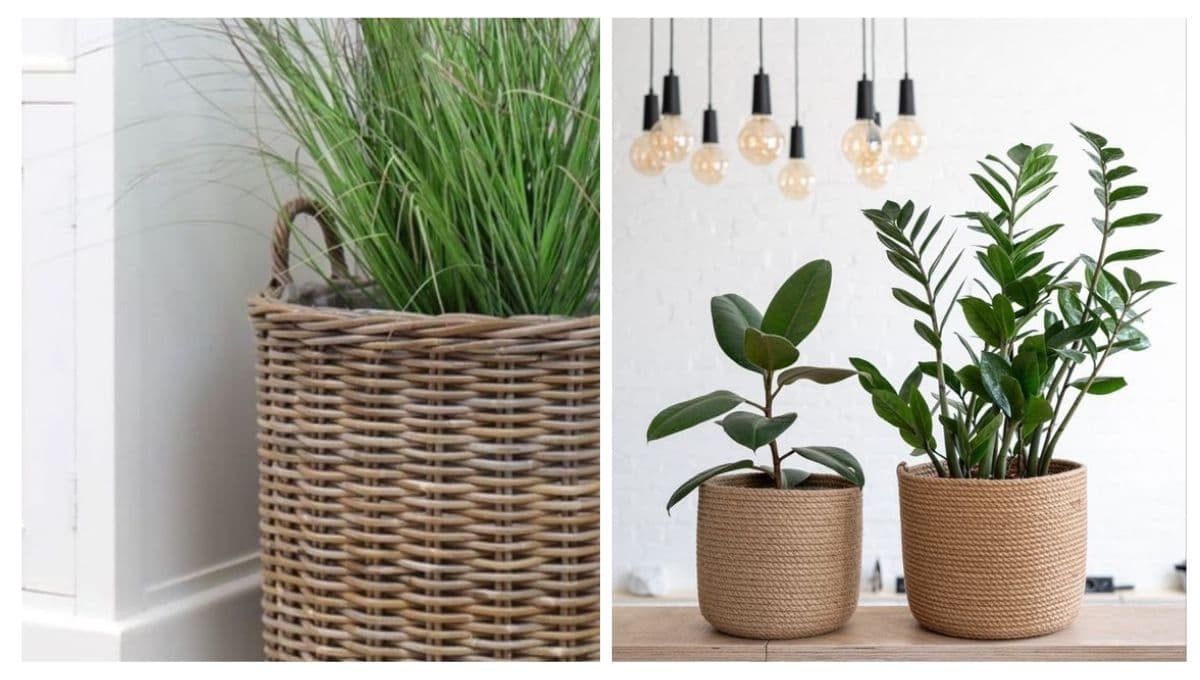 Macetas de yute: 4 diseños bonitos y sencillos para tus plantas
