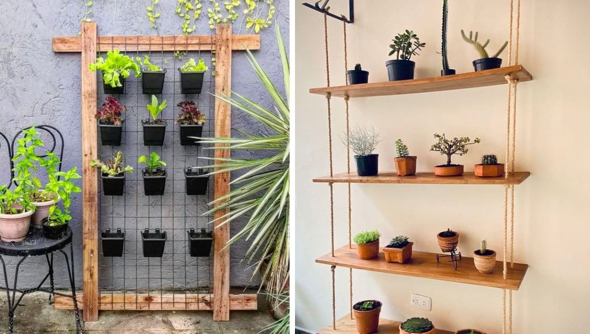 ¿Cómo hacer un jardín vertical? 4 ideas bonitas con maderas y palets para tener plantas