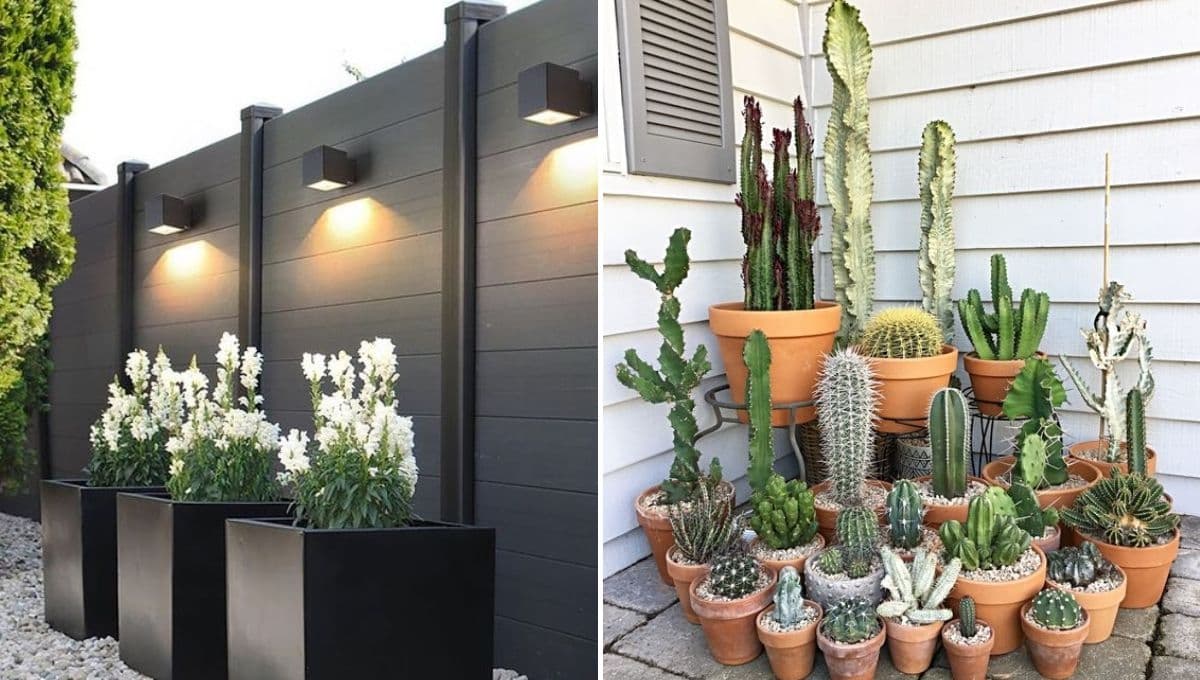 ¿Cómo renovar un patio pequeño? 4 ideas con poco dinero para decorar