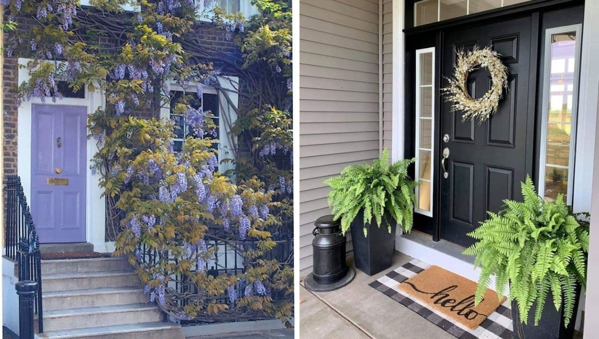 ¿Cómo decorar con plantas la entrada de mi casa? 4 ideas para remodelar desde la puerta