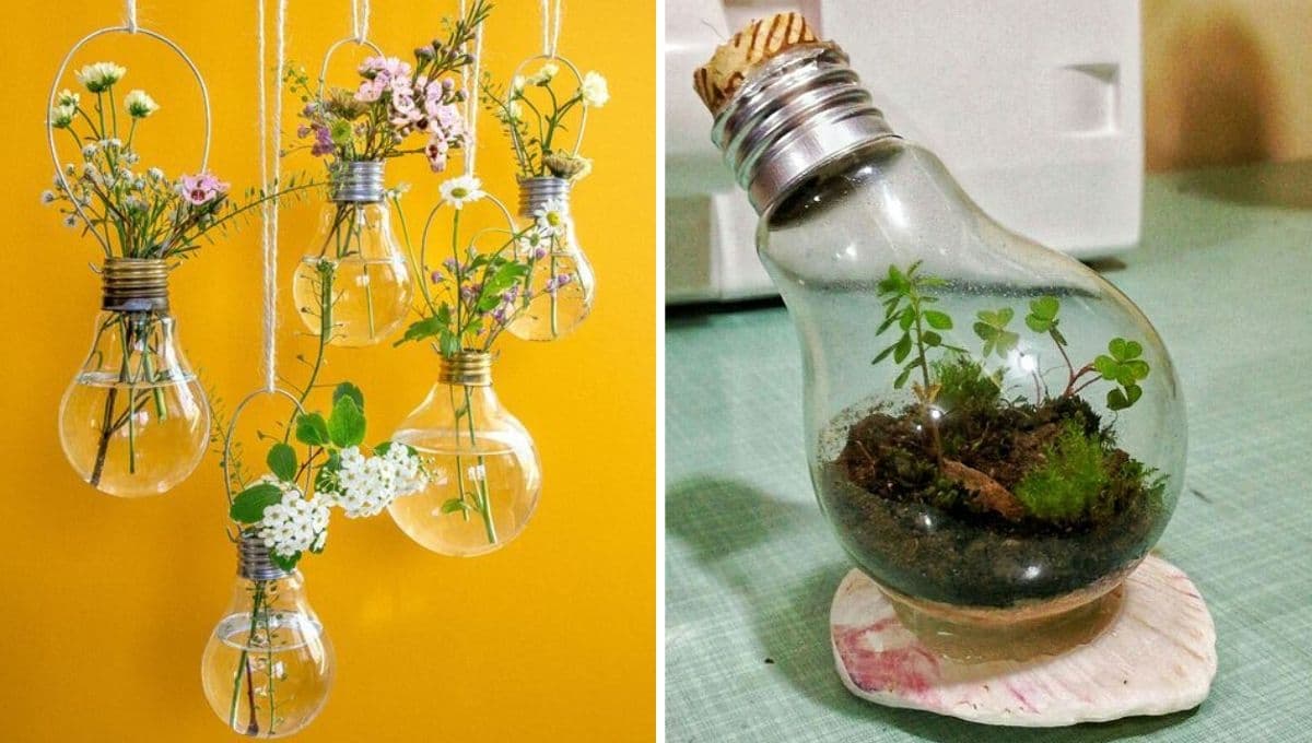 5 ideas para hacer un jardín en un foco de luz con plantas bonitas y material reciclado